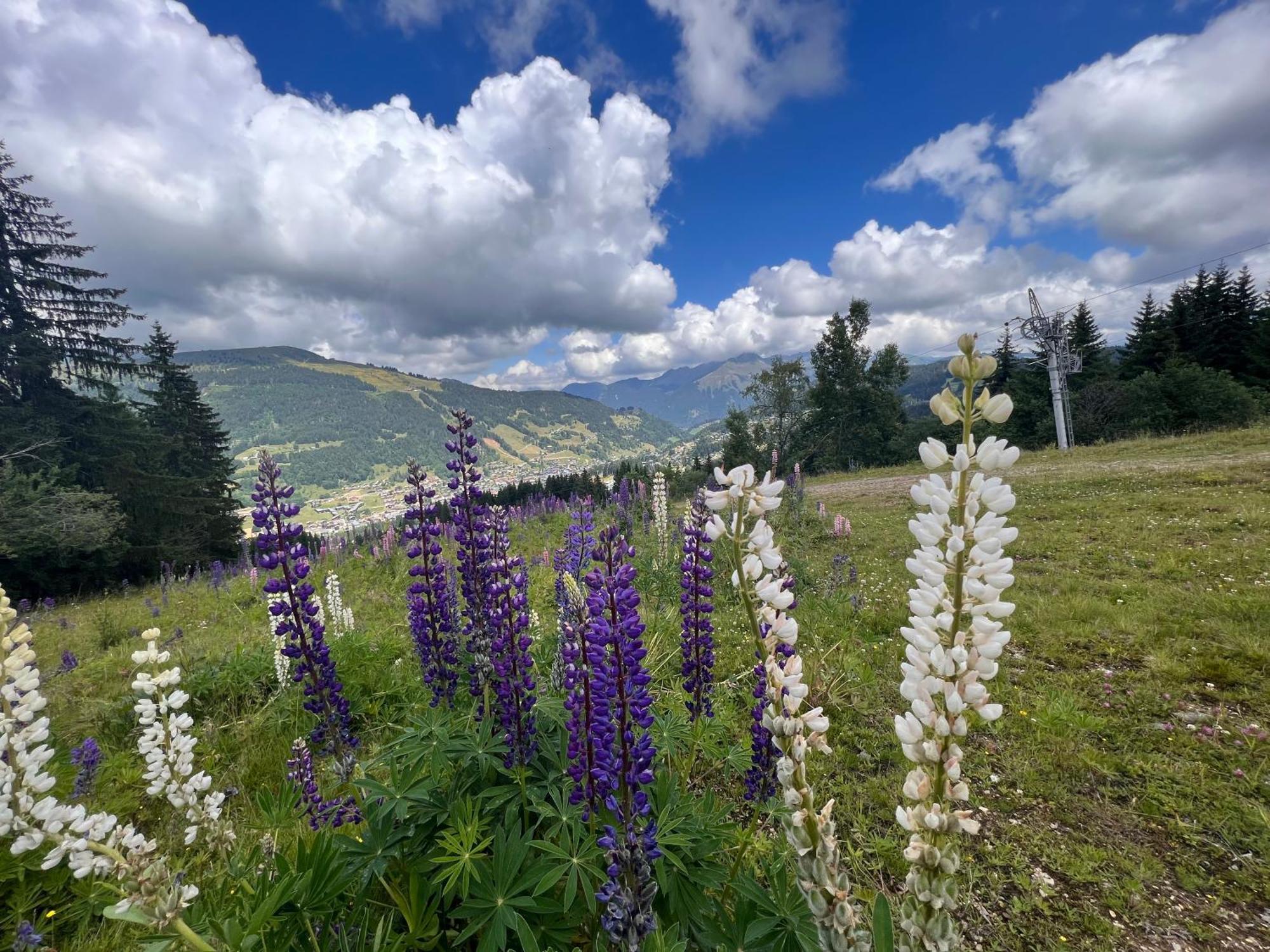 Chalet Aventure B&B Les Gets Esterno foto